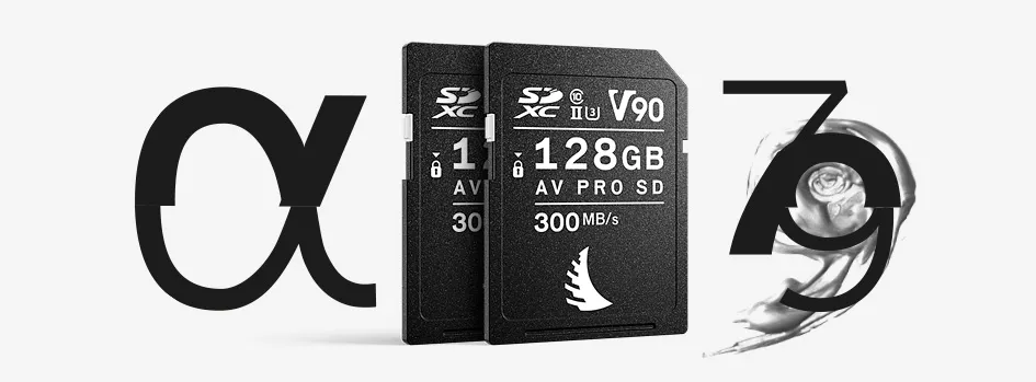 Karta pamięci Angelbird AV Pro SDXC 128GB V90 MK2 UHS-II (300 MB/s) Match Pack dla Sony a7, a9